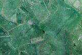 Green Fluorescent Cubic Fluorite Crystals - Madagascar #361414-1